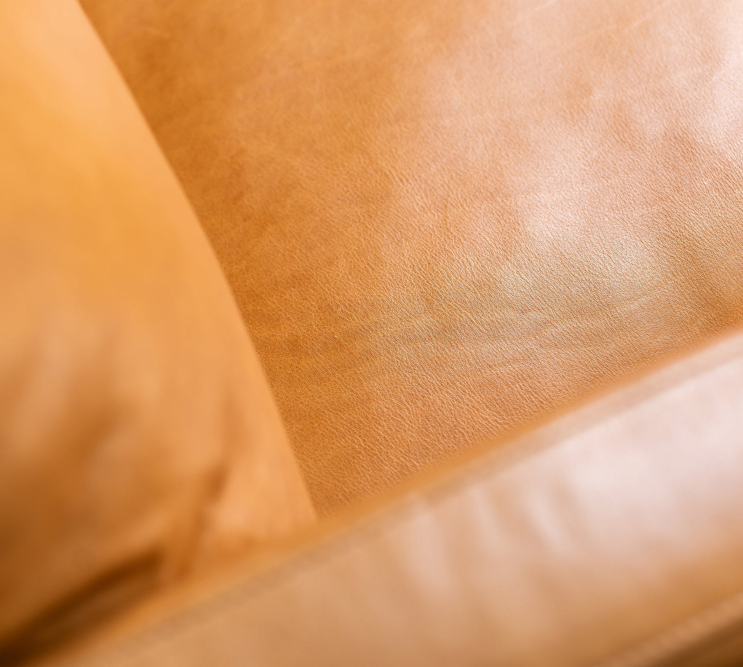 Taylor Leather Ambassador Camel Sectional