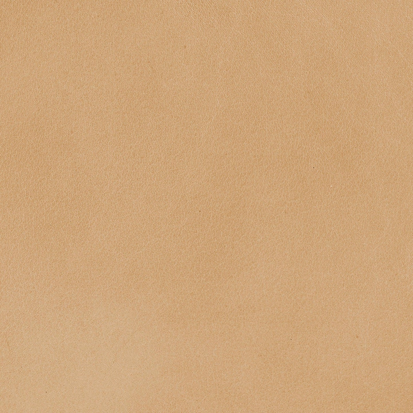 Alessa Tan Leather Accent Sling Chair-Accent Chairs-Jamie Young-Sideboards and Things