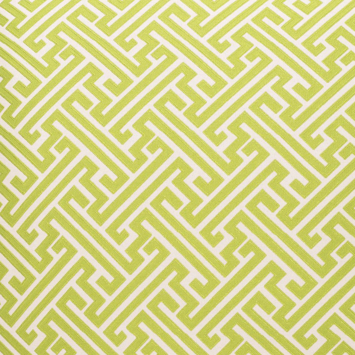 D.V. Kap Amazed Green Throw Pillow With Insert
