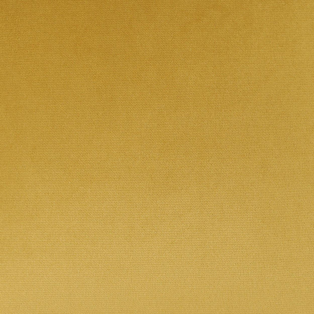 D.V. Kap Belvedere Curry Gold Throw Pillow Insert