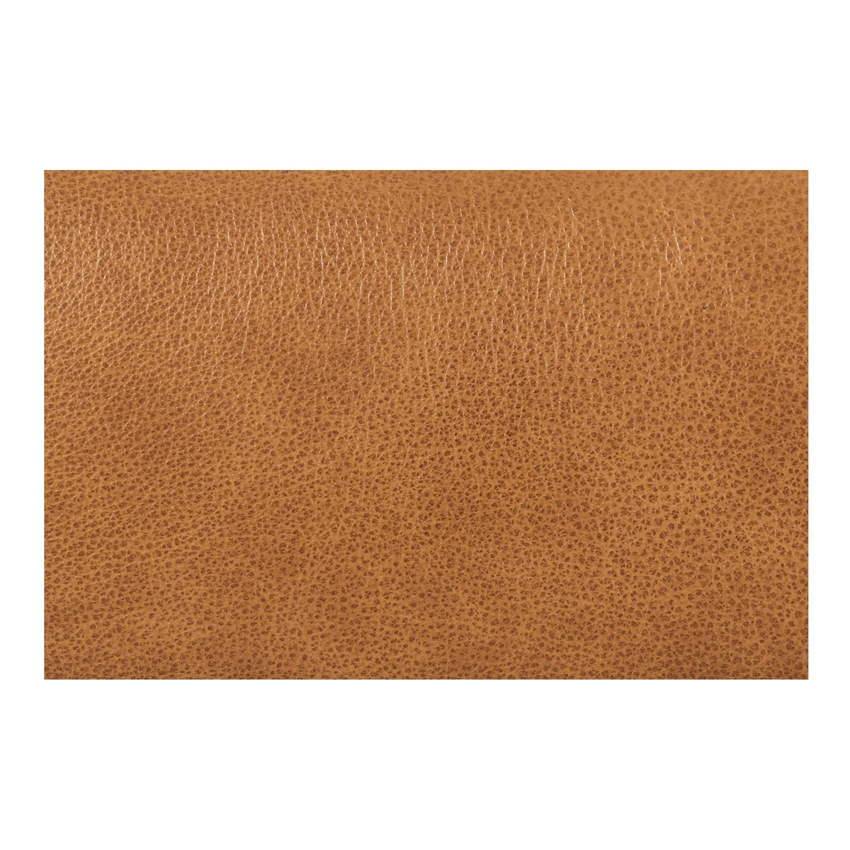Moe's Home Verity Plush Velvet Bedroom Bench