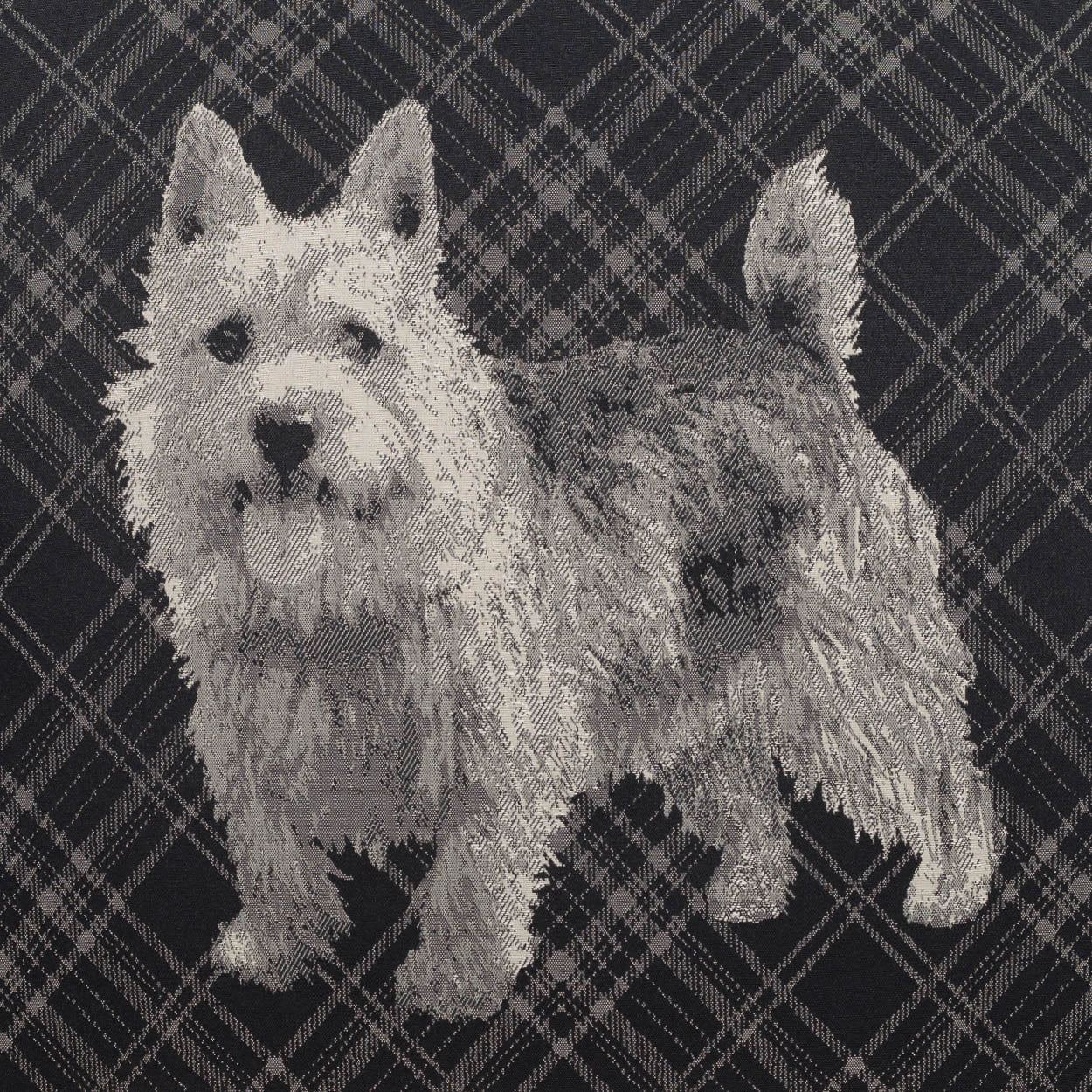 Winkie Black Throw Pillow With Insert