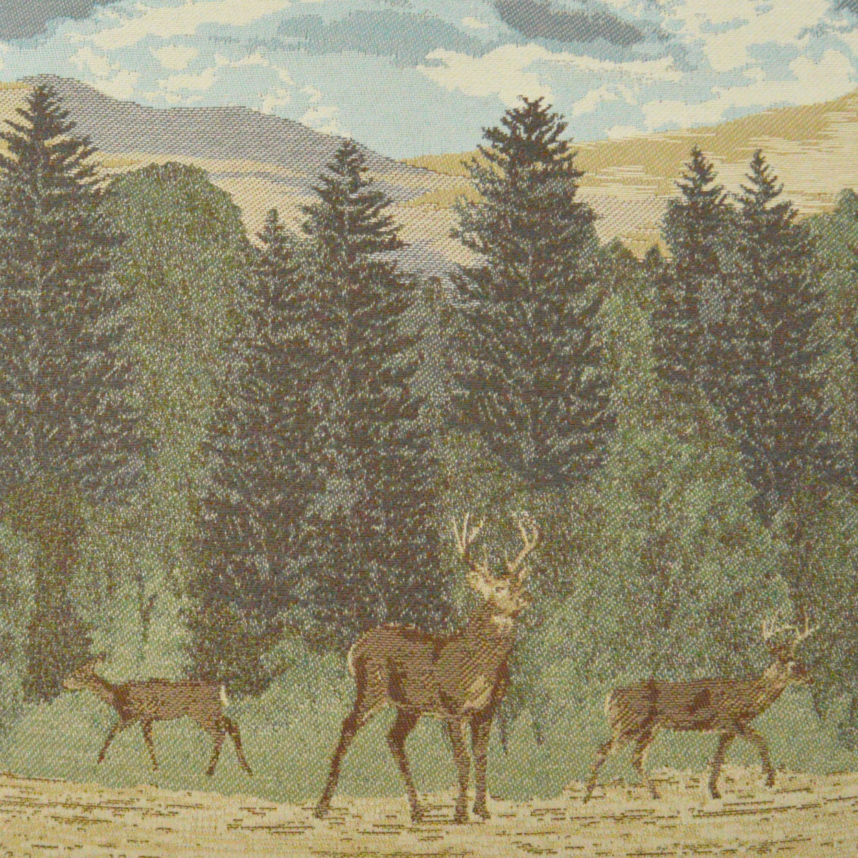 Windham Multi Color Throw Pillow With Insert