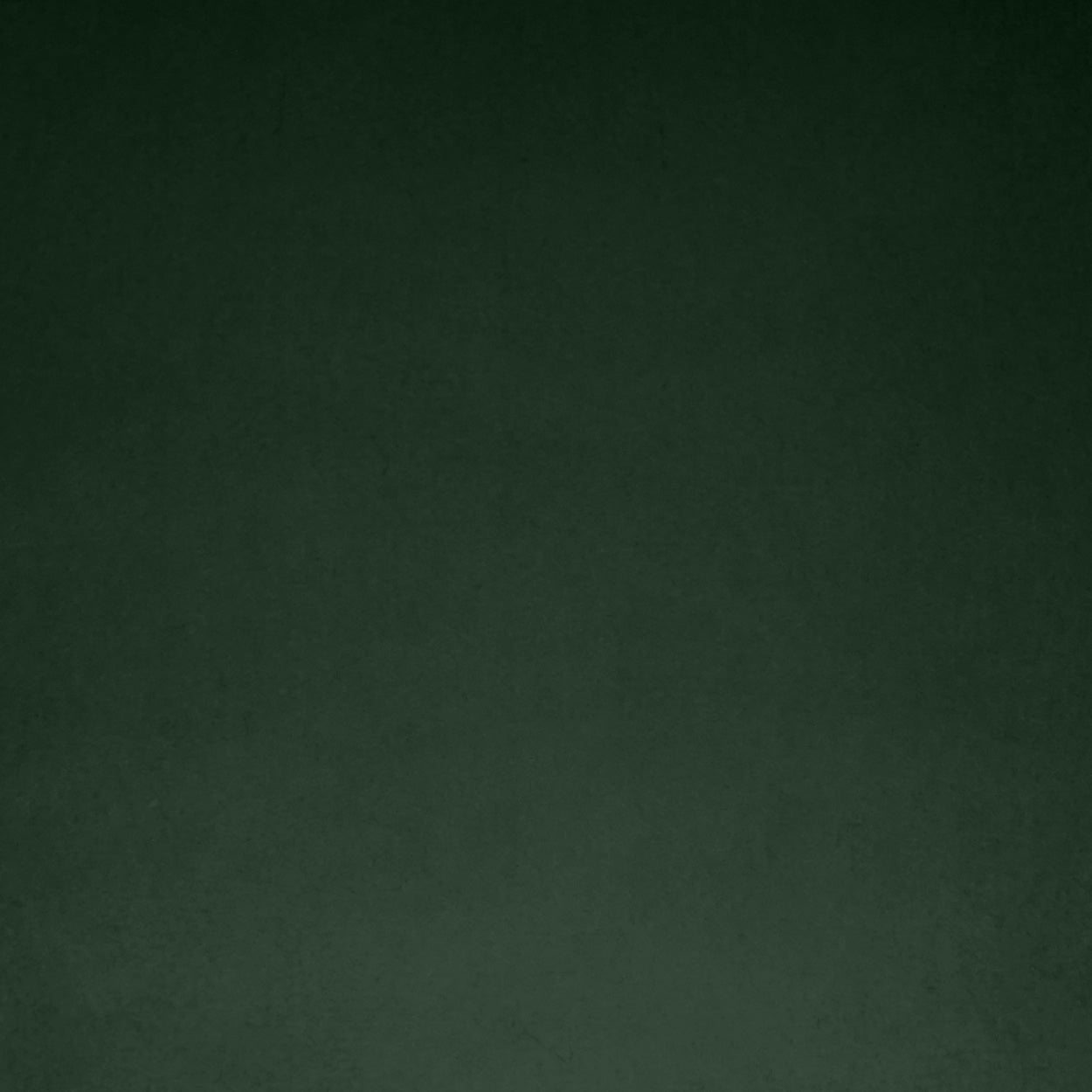 Posh Box Forest Green Throw Pillow Insert