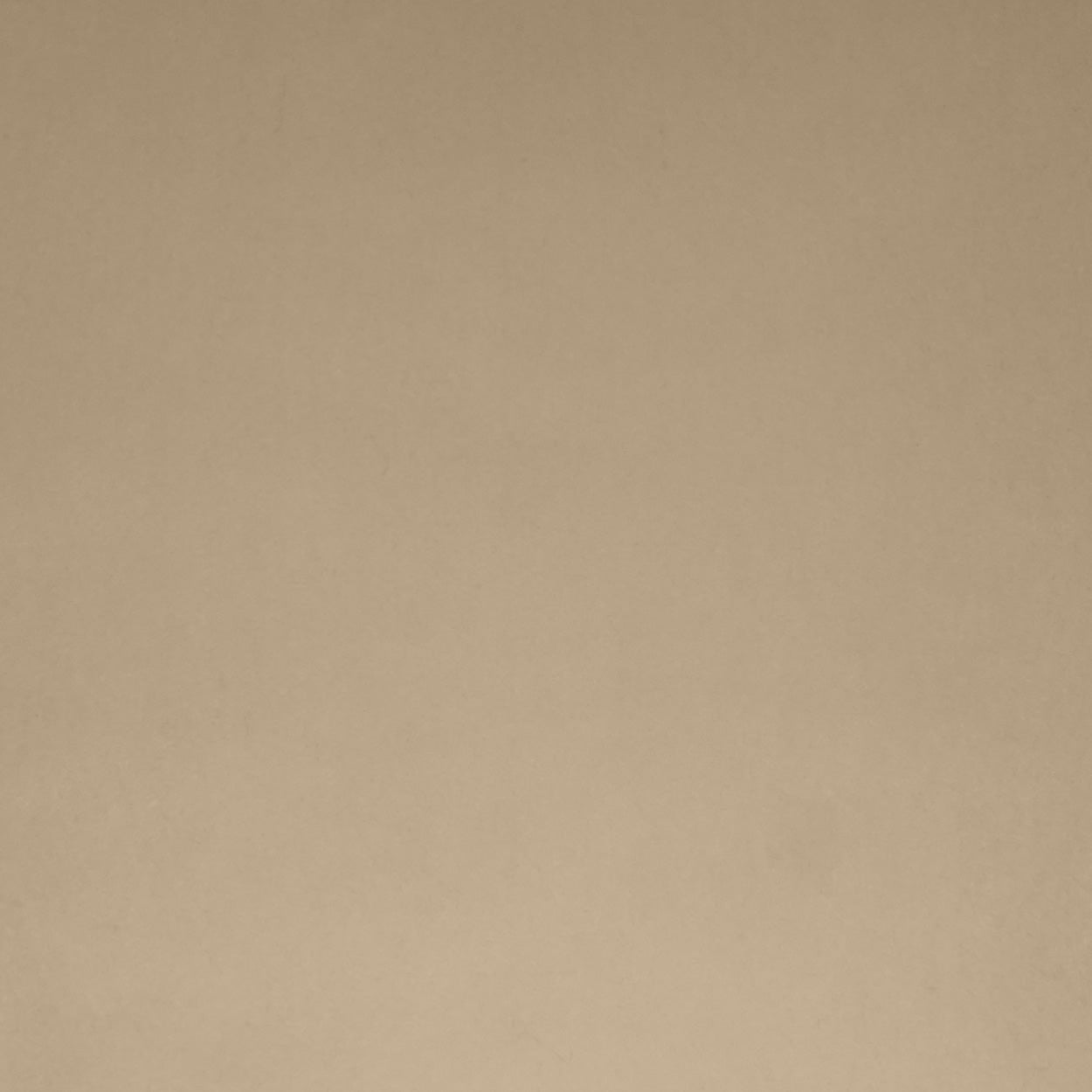 Posh Box Latte Brown Throw Pillow Insert