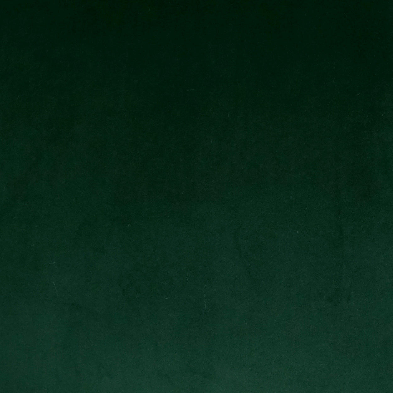 Posh Duo Forest Green Throw Pillow Insert