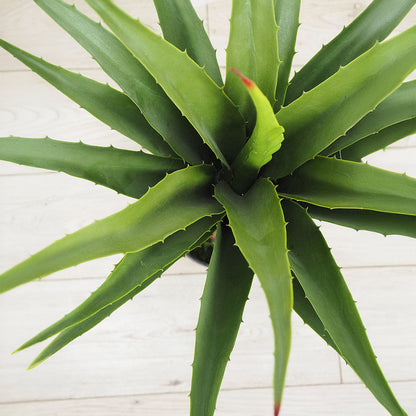 28" Faux Botanical Outdoor Green Agave