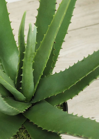 Faux Botanical Outdoor Green Aloe with Pot