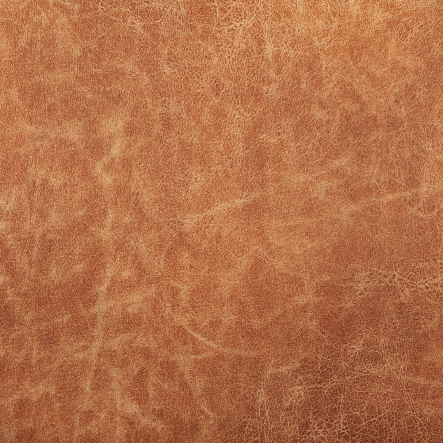 Damon Leather Dining Chair (Set of 2)