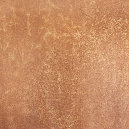 Westan Leather Modern Accent Chair