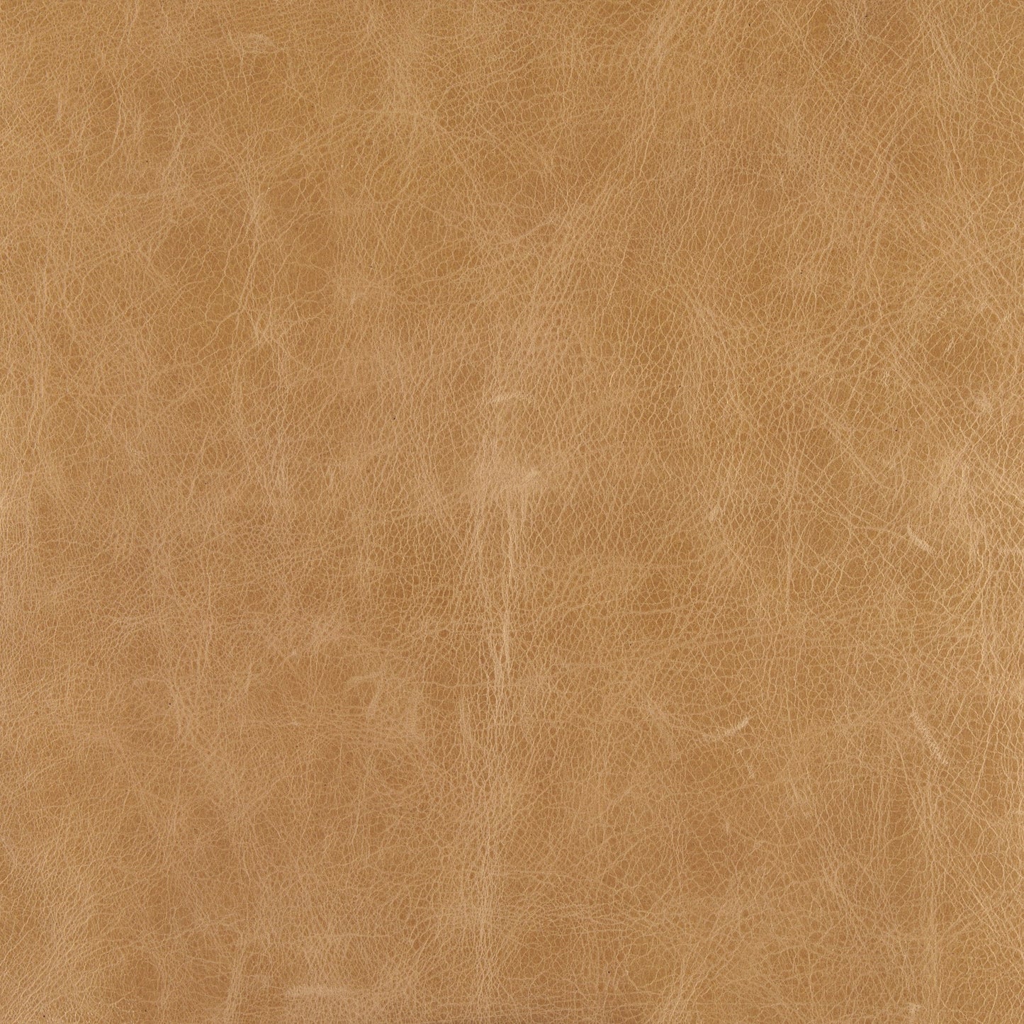 Stratton Genuine Leather Accent Chair