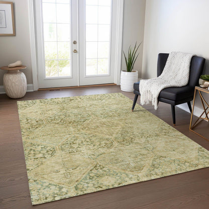 Iriius Green Washable Indoor-Outdoor Rug -- green