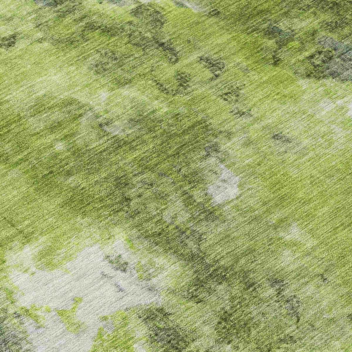 Jaelion Aloe Washable Indoor-Outdoor Rug