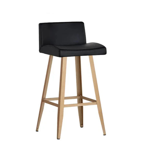 Dani Leather Upholstered Counter Stool