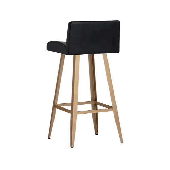 Dani Leather Upholstered Counter Stool