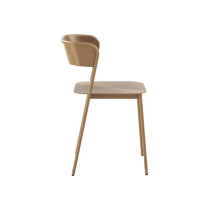 Keanu Powder Coated Iron Armless Dining Chair