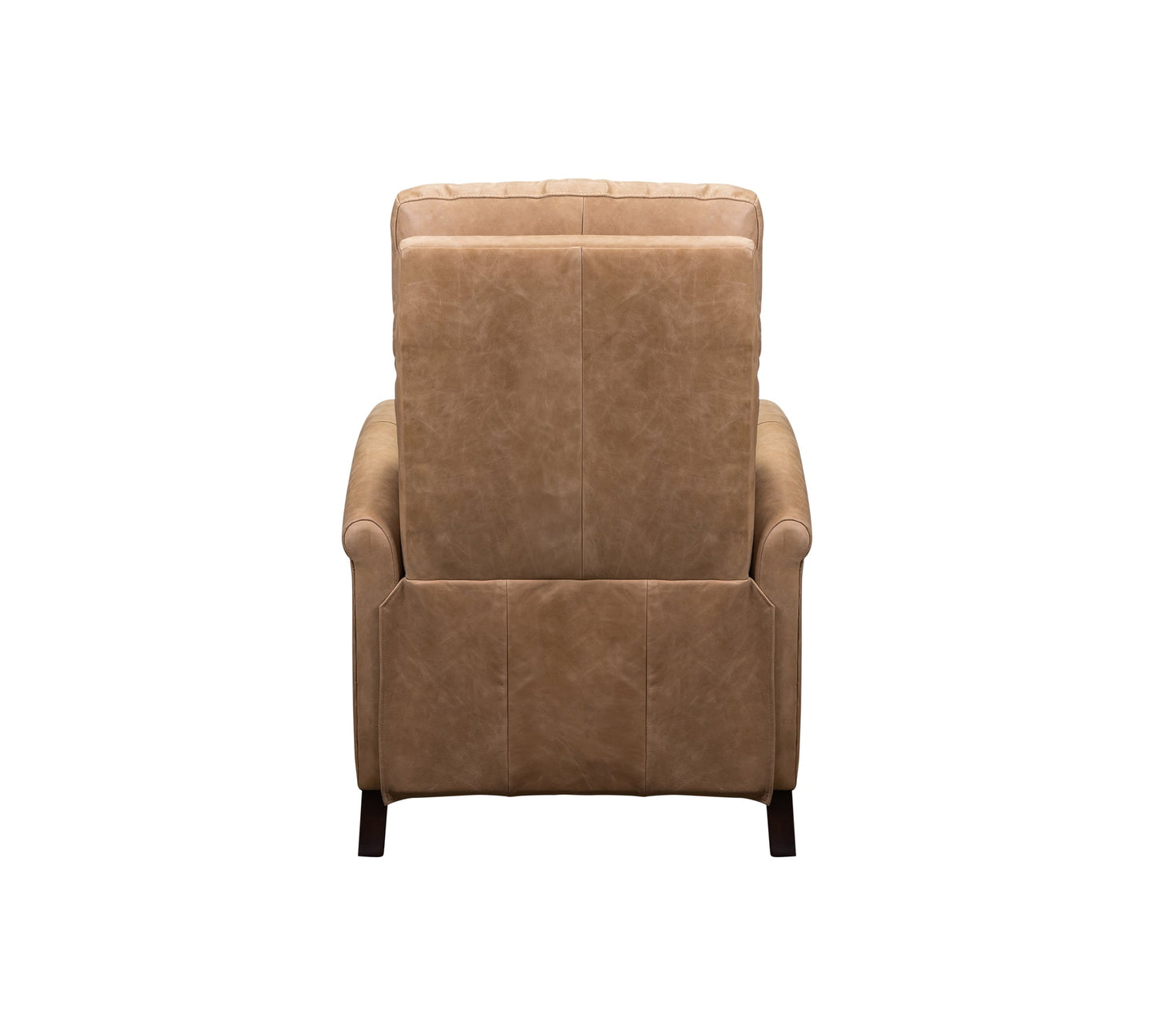 Haskell Leather Made Usb Power Recliner