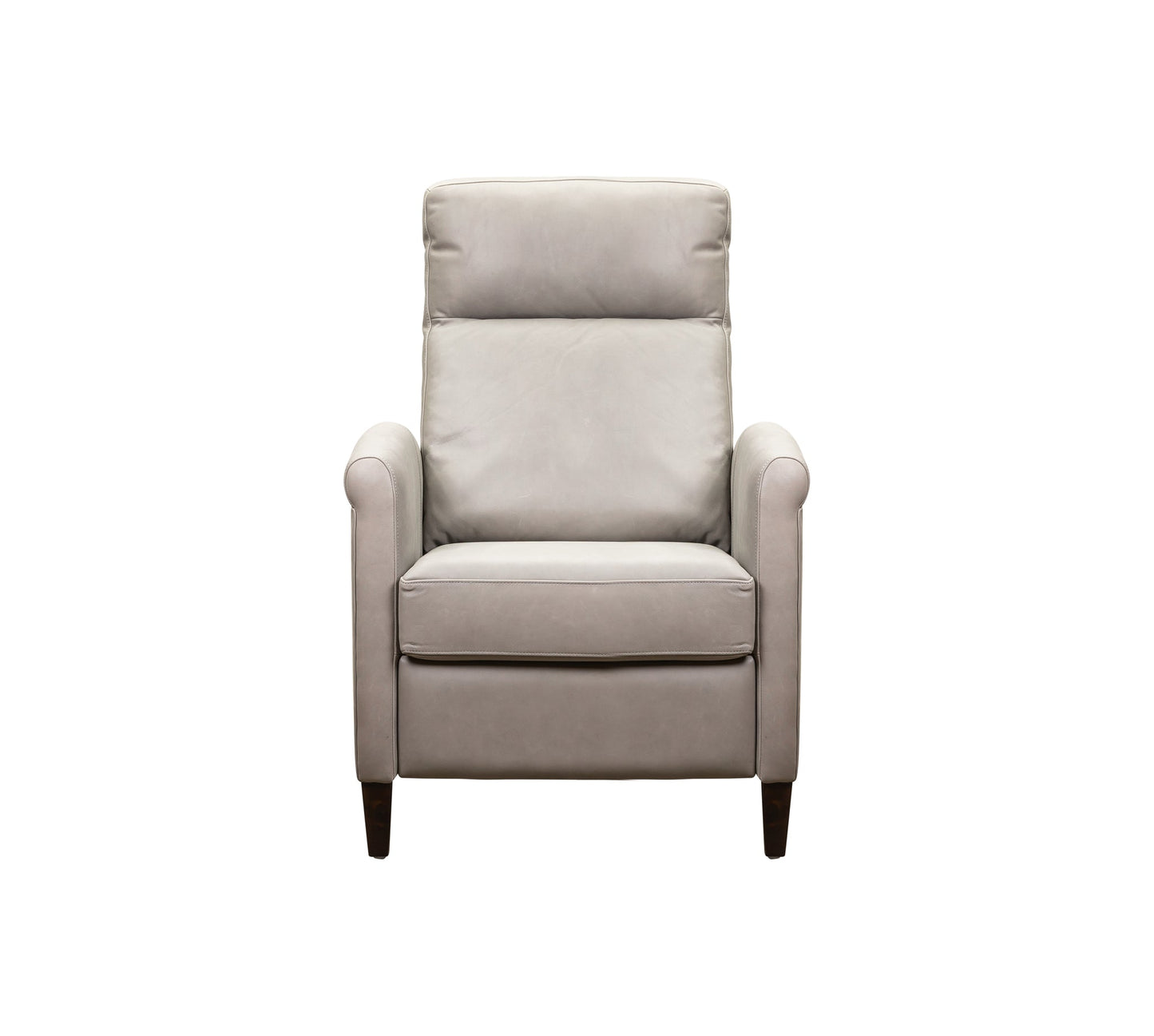 Haskell Leather Made Usb Power Recliner