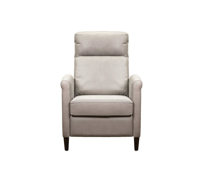 Haskell Leather Made Usb Power Recliner