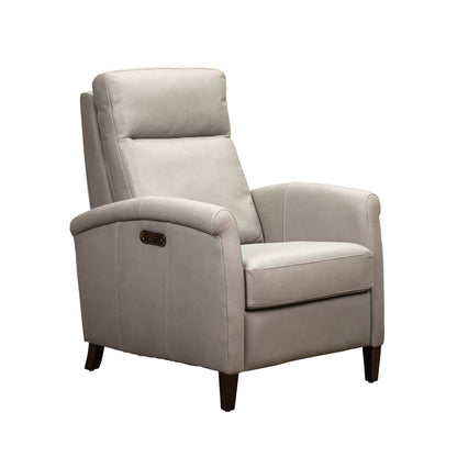 Haskell Leather Made Usb Power Recliner