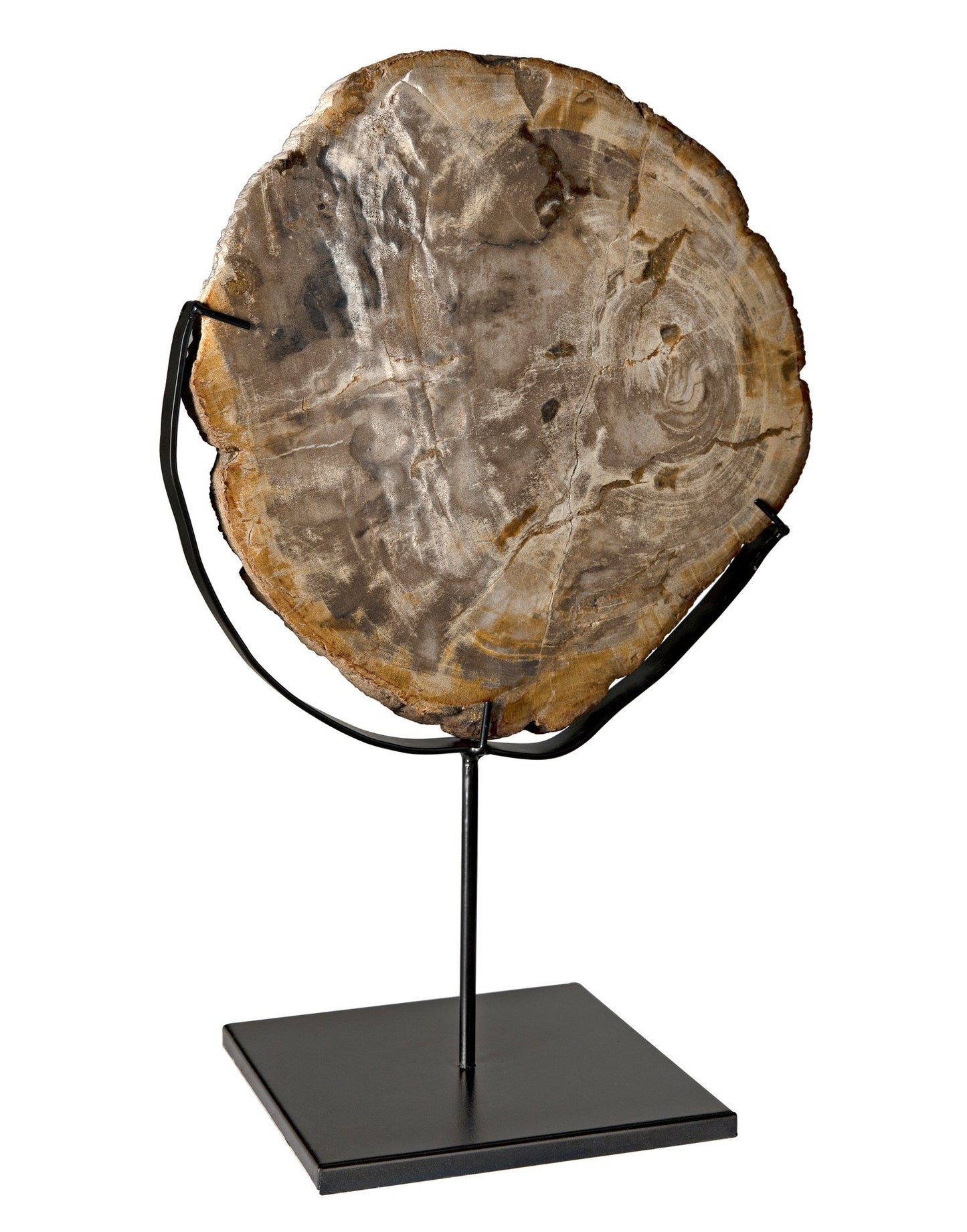 12" Wood Fossil with Stand Sculpture-Statues & Sculptures-Noir-Sideboards and Things