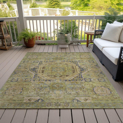Iriir Aloe Washable Indoor-Outdoor Rug