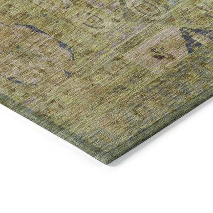 Iriir Aloe Washable Indoor-Outdoor Rug