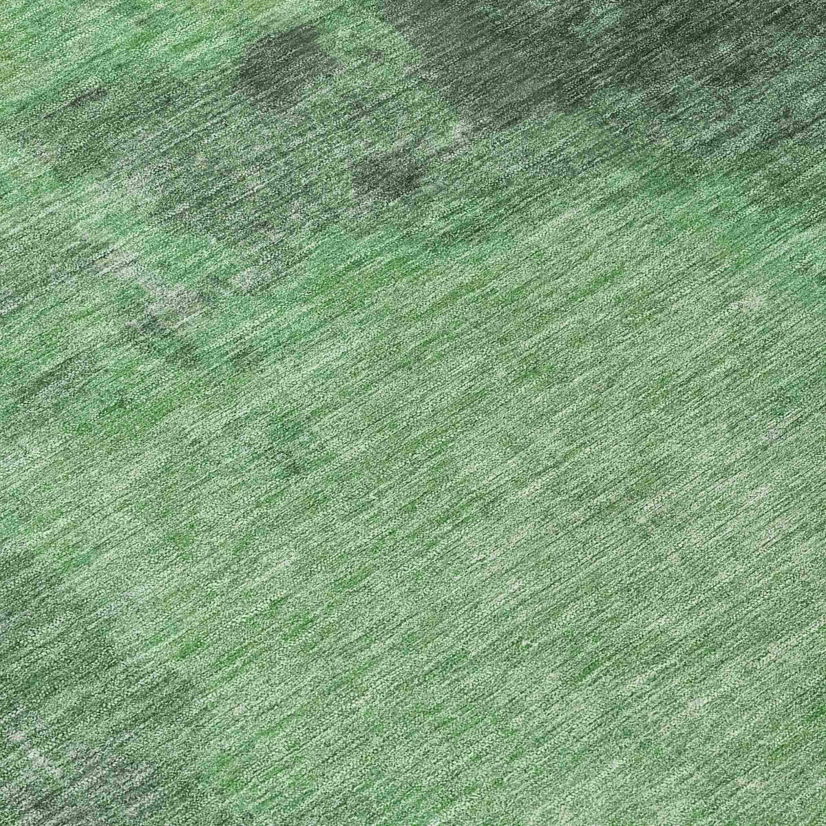 Iriion Green Washable Indoor-Outdoor Rug