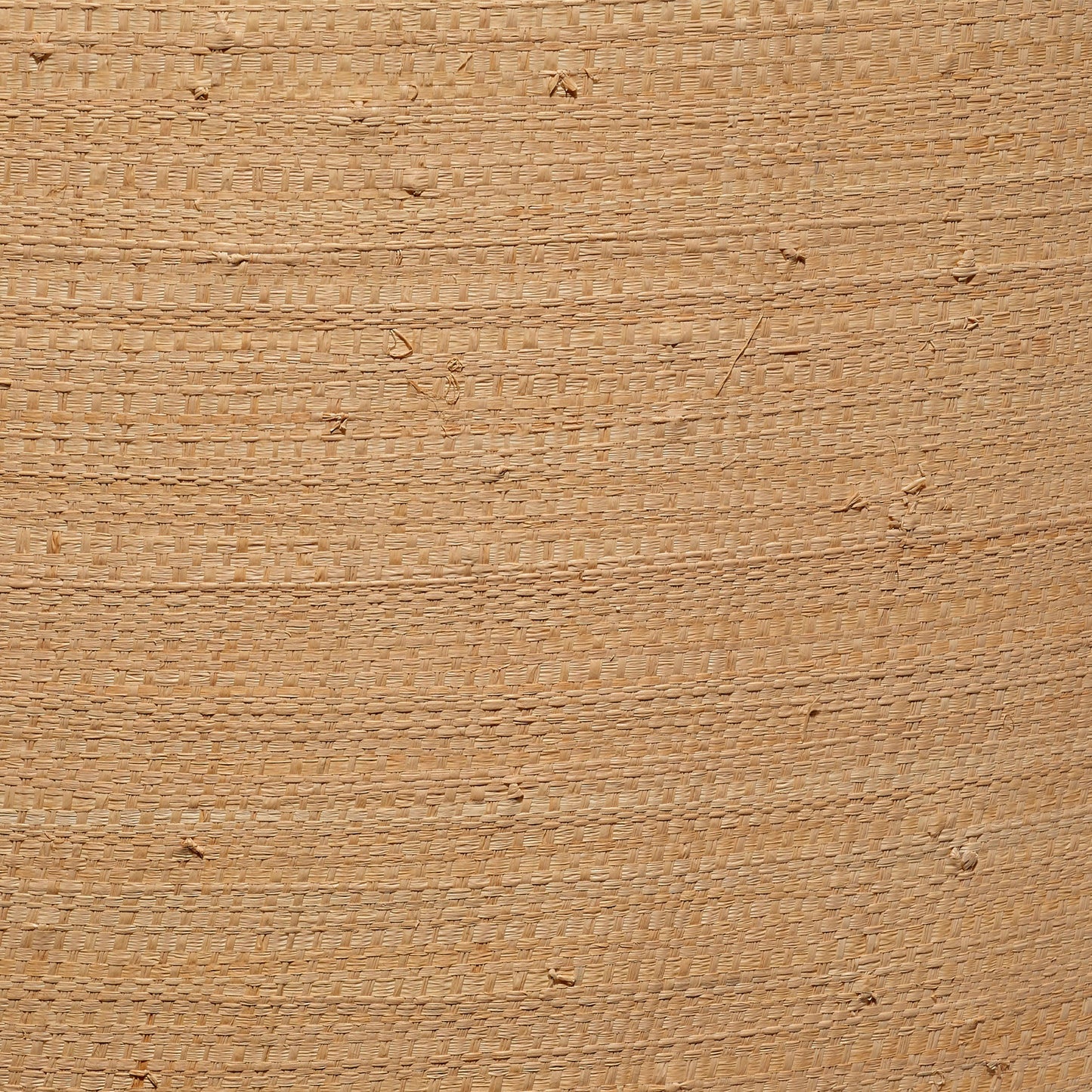 Drum Natural Raffia Stylish Shade