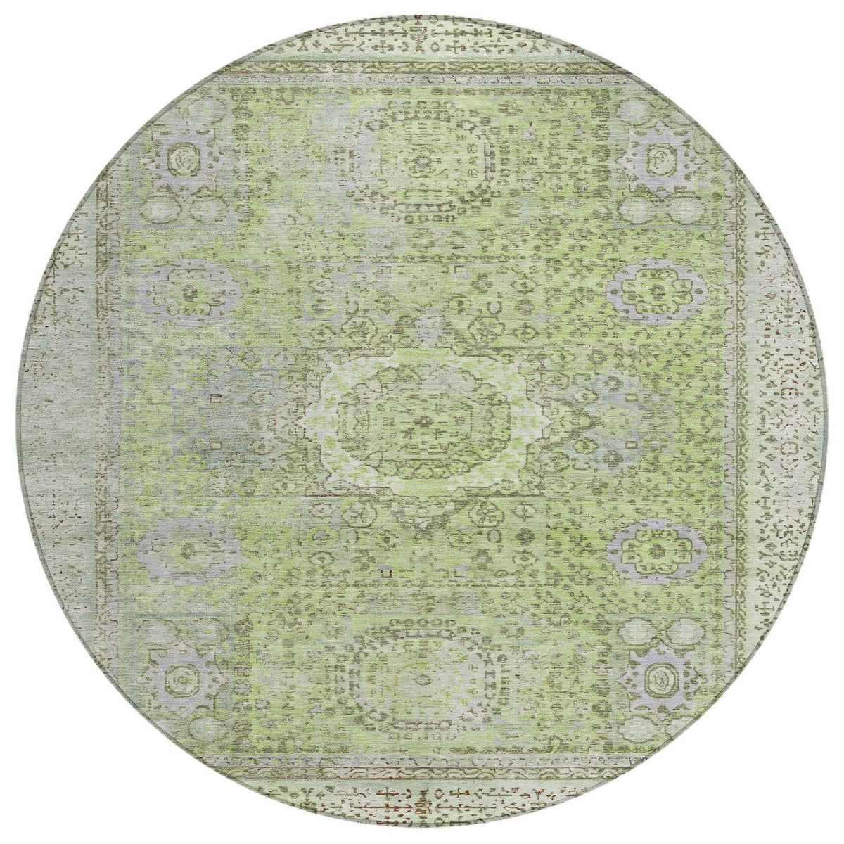 Irias Aloe Washable Indoor-Outdoor Rug