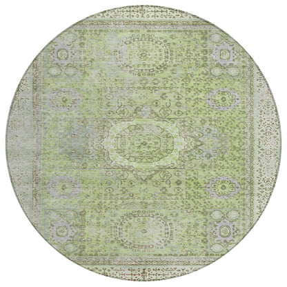 Irias Aloe Washable Indoor-Outdoor Rug
