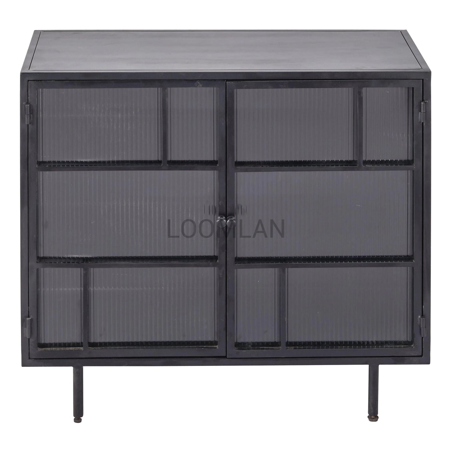 2 Windowpane Glass Doors Metal Frame Accent Cabinet Accent Cabinets LOOMLAN By LOOMLAN