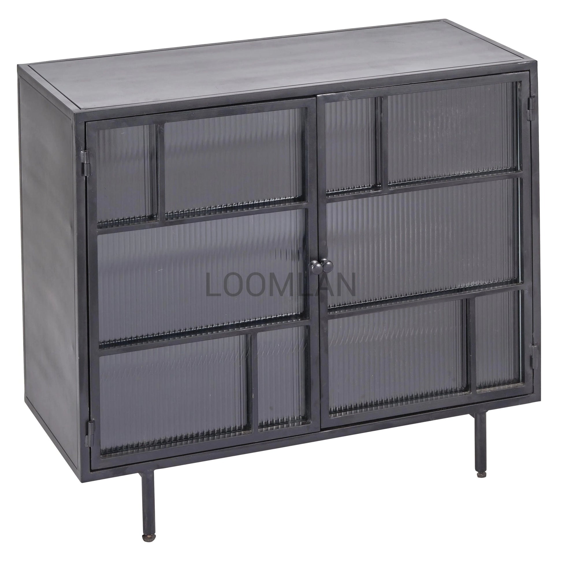 2 Windowpane Glass Doors Metal Frame Accent Cabinet Accent Cabinets LOOMLAN By LOOMLAN