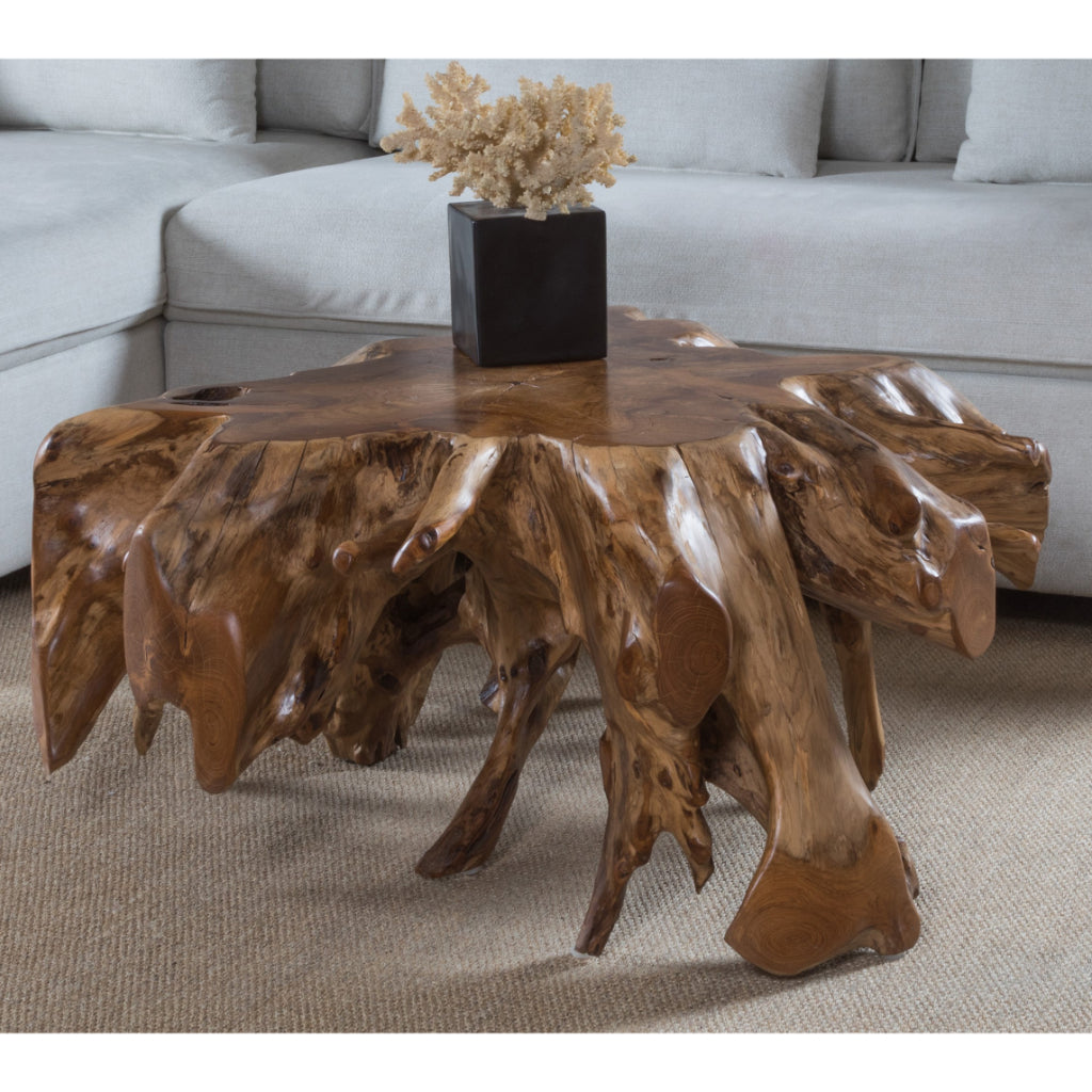 Organics Natural Teak Root Cocktail Table