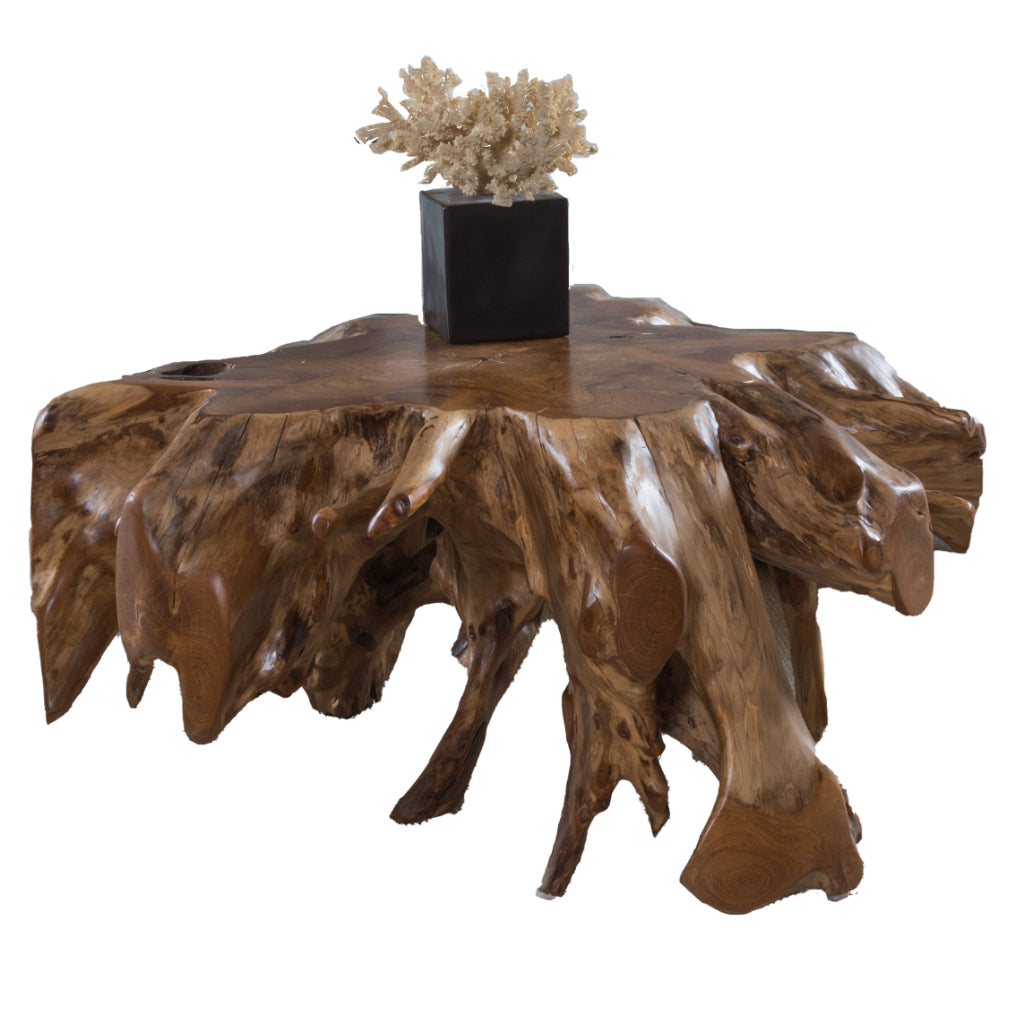 Organics Natural Teak Root Cocktail Table