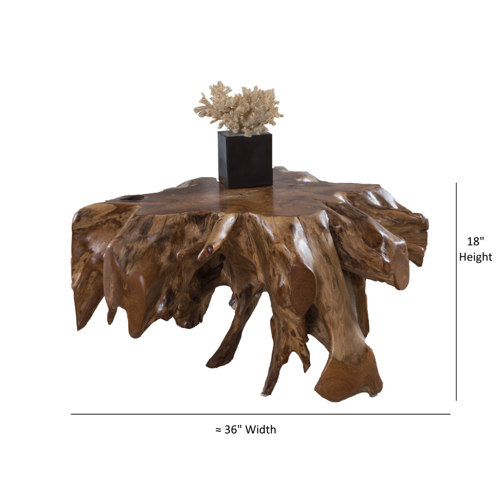 Organics Natural Teak Root Cocktail Table