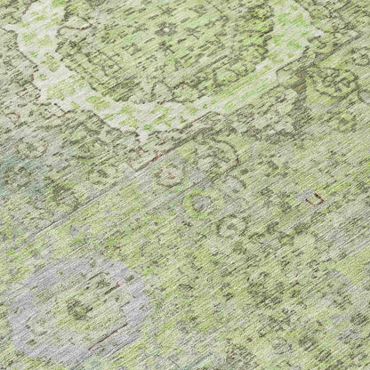 Irias Aloe Washable Indoor-Outdoor Rug