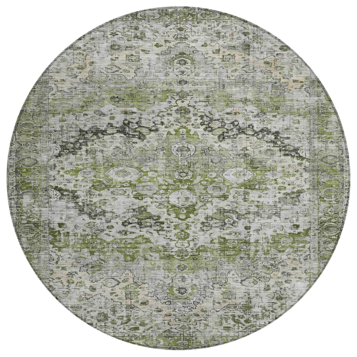 Jaelien Aloe Washable Indoor-Outdoor Rug