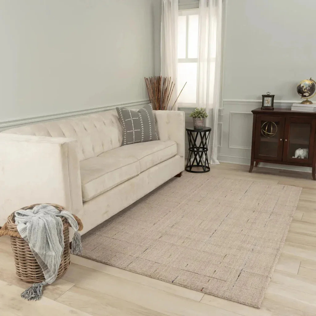 Ayon Solid Beige Area Rugs For Living Room -- beige