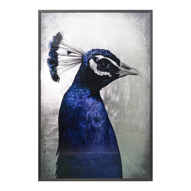 The Peacock - 48" X 72" Charcoal Frame Luxe Wall Art