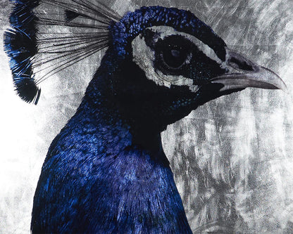 The Peacock - 48" X 72" Charcoal Frame Luxe Wall Art