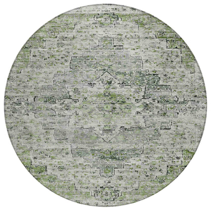 Addison Rugs Raeor Aloe Washable Indoor-Outdoor Rug