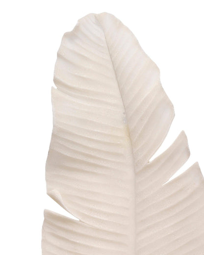 Coastal Style White Polyresin Feather Object Statues & Sculptures Sideboards and Things By Jamie Young