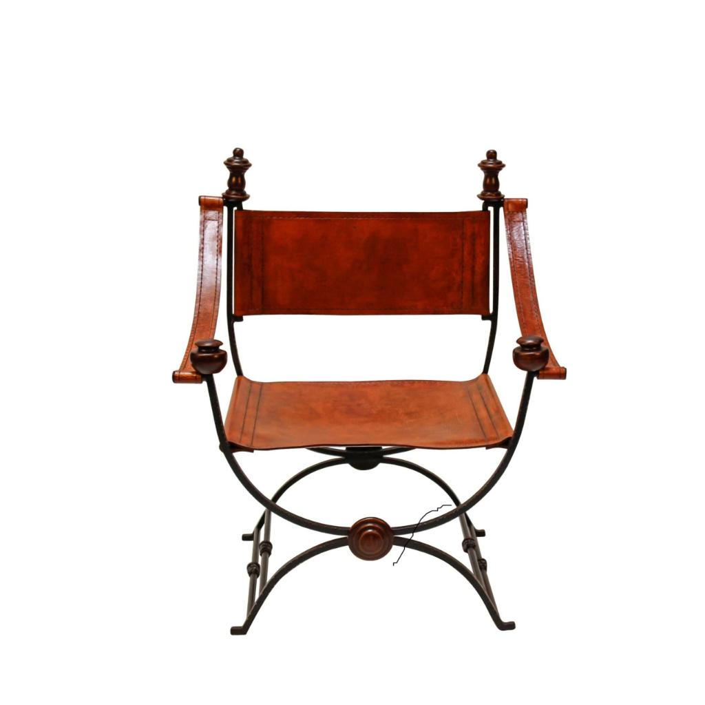 Peninsula Home Fellini Leather Accent Chair