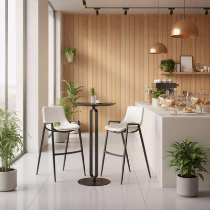 Desi Barstool (Set of 2)