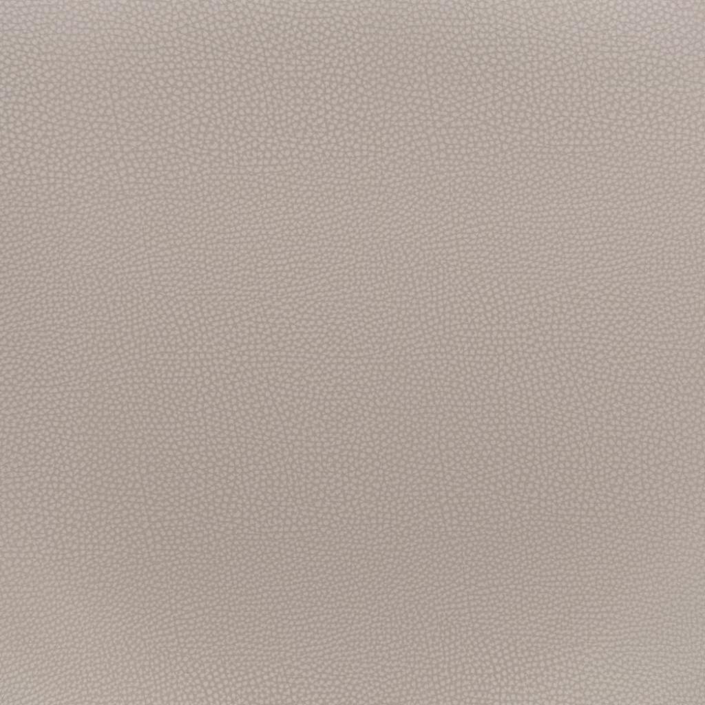 Desi Barstool (Set of 2)