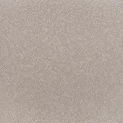 Desi Barstool (Set of 2)