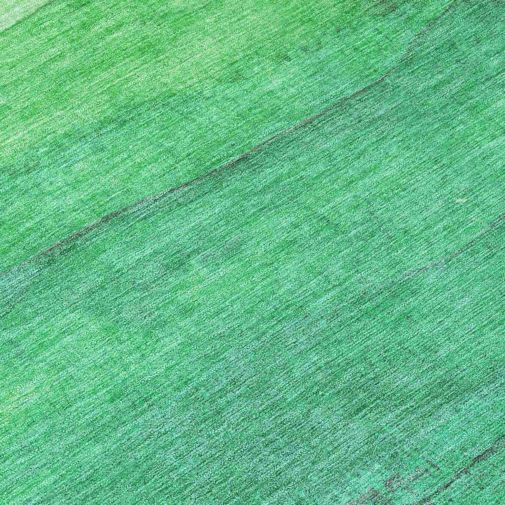 LOOMLAN Rugs Elien Green Washable Indoor-Outdoor Rug