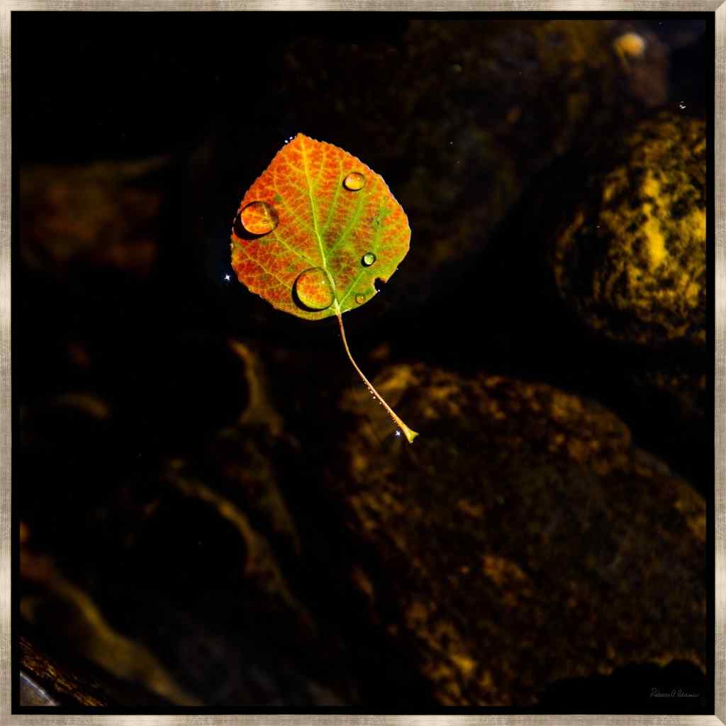 Leftbank Art Falling for You Hand Crafted Canvas Art