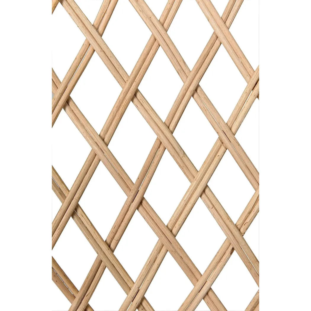 Noir Gigi Birch and Rattan Arm Chair